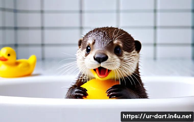 디지털아트 마켓플레이스 비교 관련 이미지 2